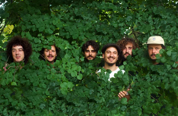 Seis hombres escondidos tras las ramas de un árbol